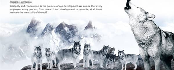 训狗基地 训狗学校.jpg