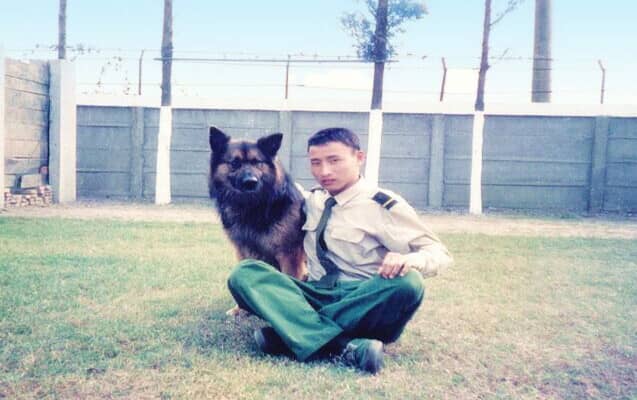 狗狗培训 军犬训练.jpg