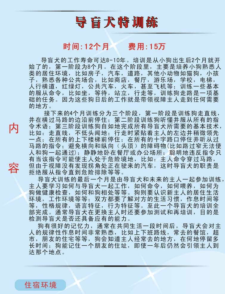 导盲犬训练.jpg