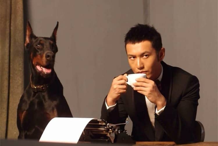 明星与杜宾犬 杜宾犬与明星 爱家训狗杜宾专业训练.