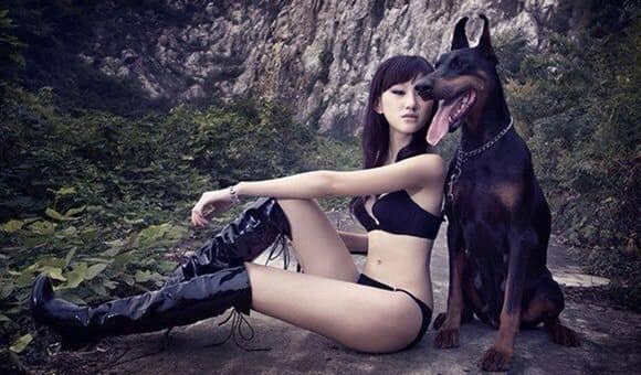 杜宾犬与美女 杜宾影视训练 杜宾培训.