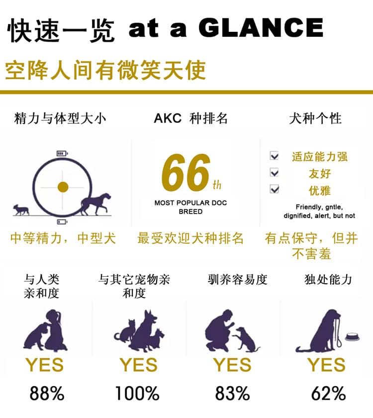 萨摩耶性格介绍 狗狗学校.jpg