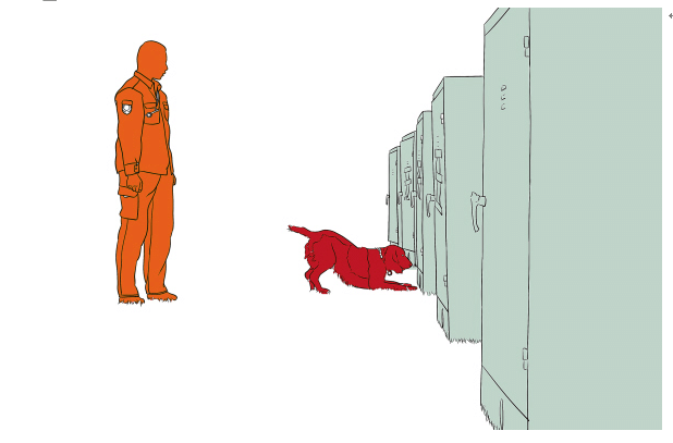 狗狗培训 搜寻犬训练