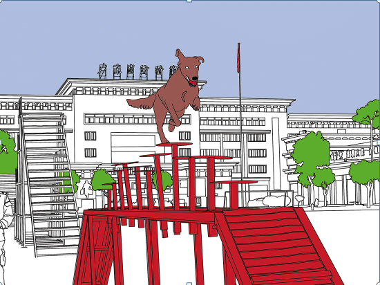 搜救犬训练 训练搜救犬 训狗基地