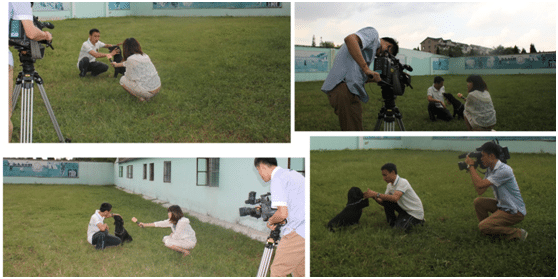 训犬基地 训犬学校 上海训犬学校