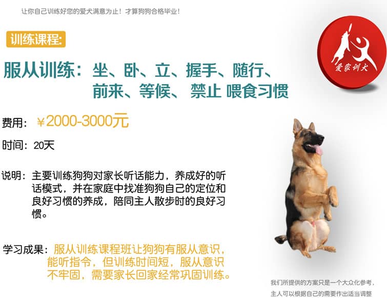 狗狗训练价格表格