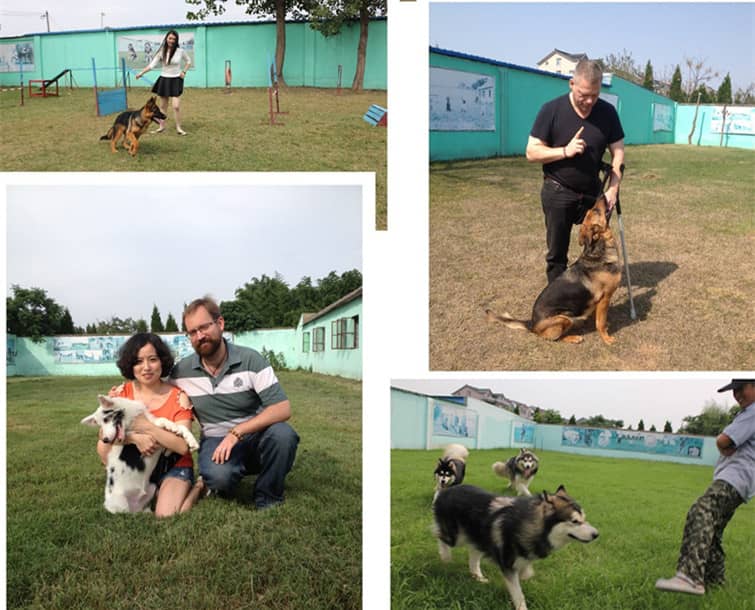 宠物训练，狗狗训练中上海爱家训狗基地