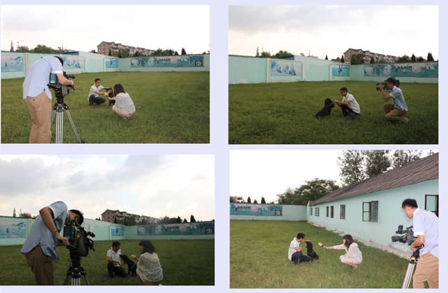 训狗教学图片 训狗拍摄 训犬演示