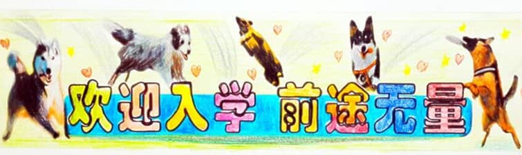 狗学校 训狗学校 狗狗上学