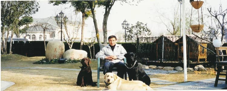 狗狗礼仪训练 训狗基地 训狗学校