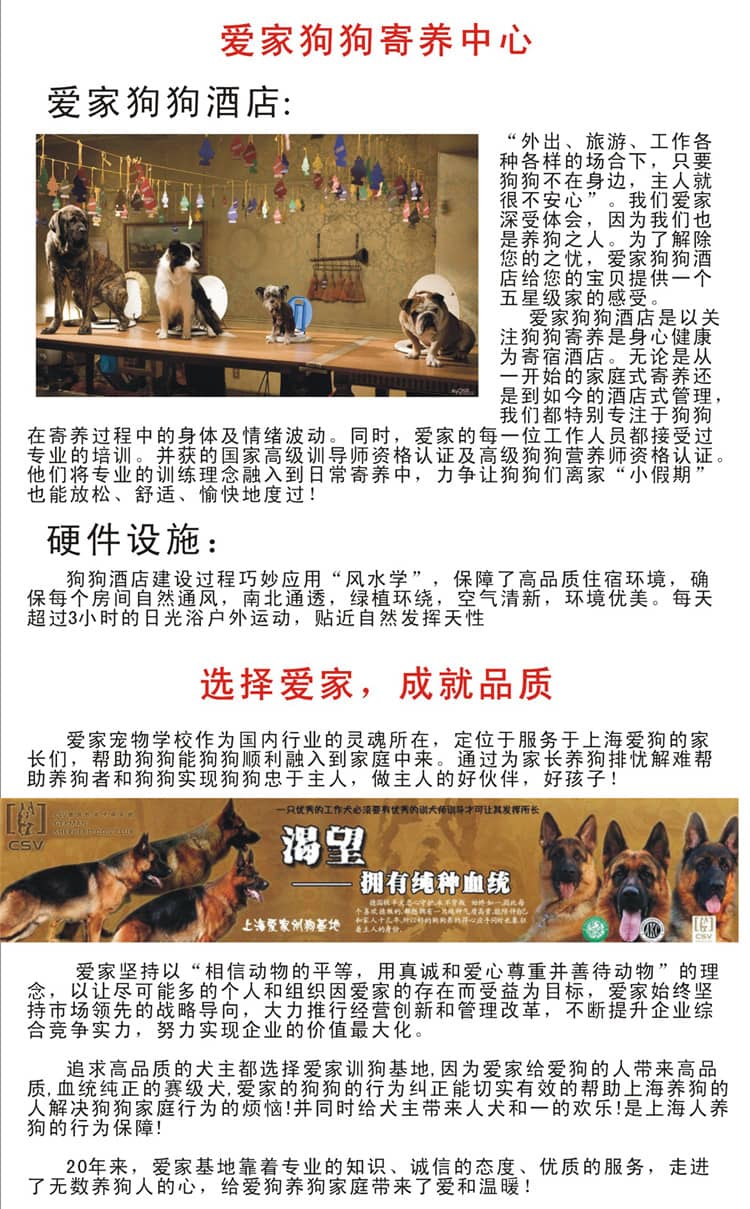 宠物酒店 狗狗酒店 狗狗寄养