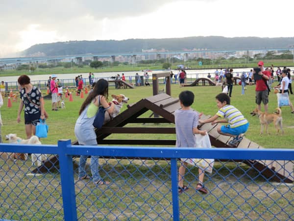 宠物聚会 上海爱家宠物学校