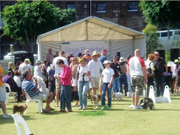 狗狗俱乐部 训狗聚会