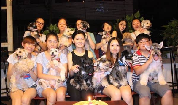 狗狗生日聚会 狗狗活动聚会 