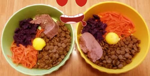 狗狗营养套餐.训狗学校食物谱