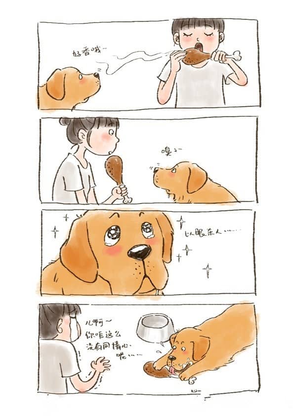 上海犬行为纠正 犬行为改良 上海犬行为训导