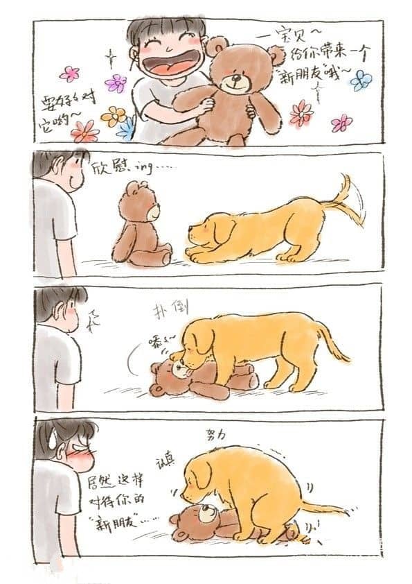 上海犬行为纠正 犬行为改良 上海犬行为训导