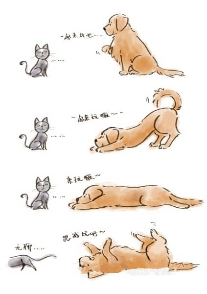 上海犬行为纠正 犬行为改良 上海犬行为训导