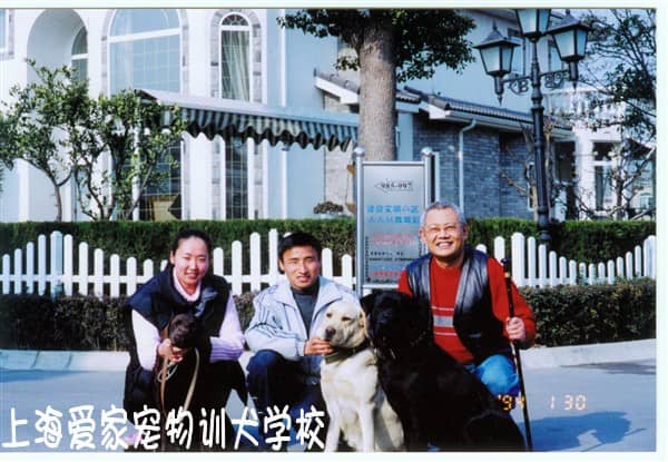 狗狗家长在训狗学校 (1).jpg