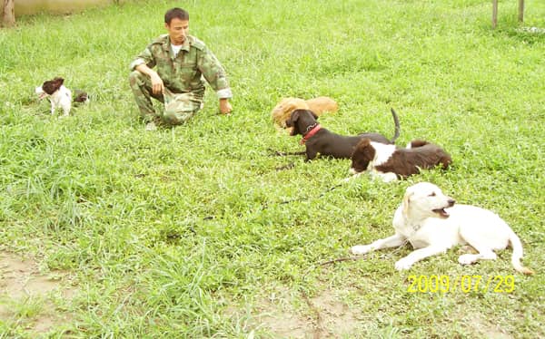 上海爱家宠物学校训犬师 (1).jpg