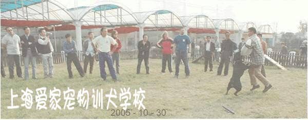 上海爱家训狗学校 警犬扑咬训练.jpg