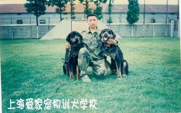 警犬的训练方法.jpg