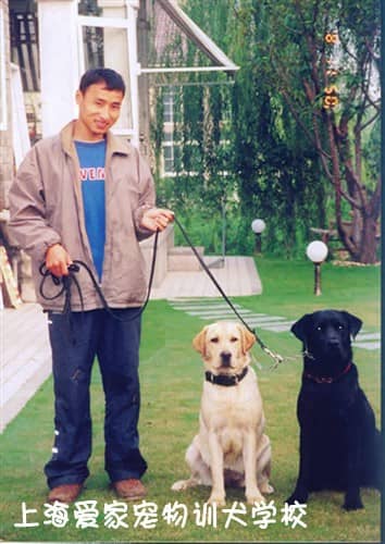 狗狗中心 训狗中心 上海爱家训狗中心.jpg