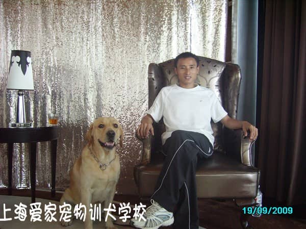 上海爱家训犬中心  狗狗培训中心 狗狗学校.JPG
