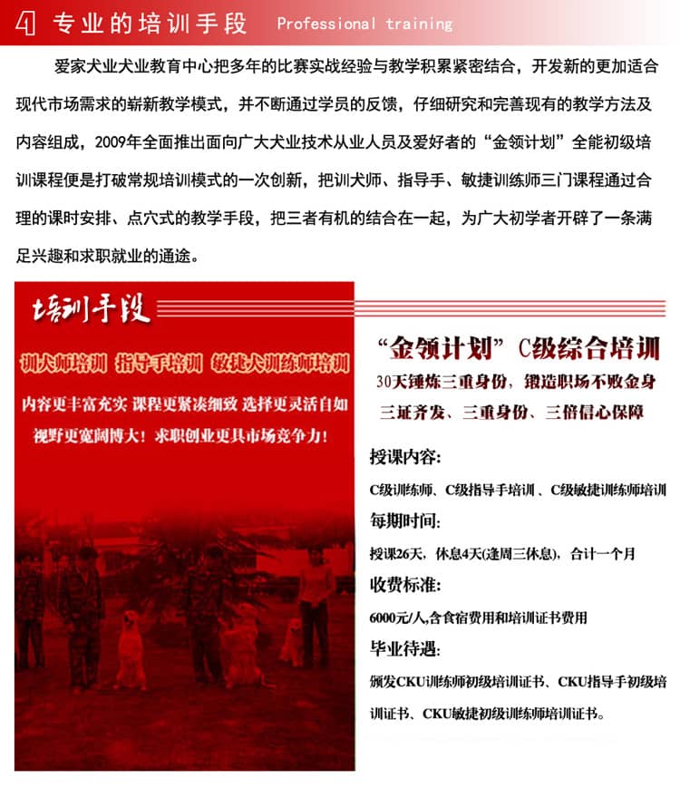 上海爱家训狗师有着专业的培训手段.jpg