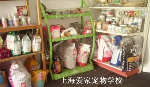宠物店 训狗 训狗学校 狗粮.jpg