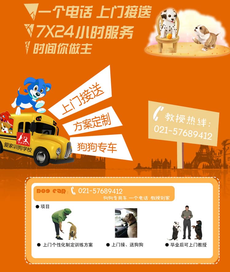 狗狗上学上门训狗.jpg